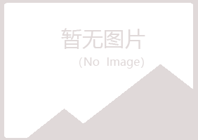 鹤岗兴山迷茫媒体有限公司